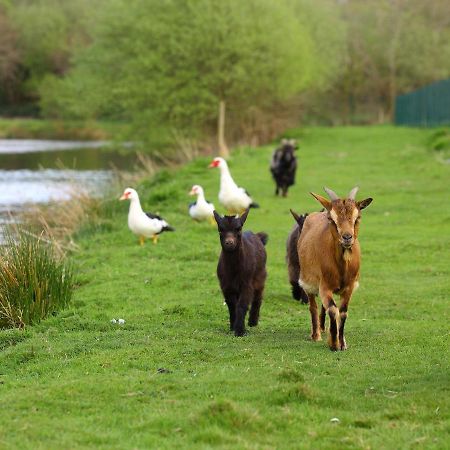 Gites De La Ferme De Vur Ven Gouvieux Exteriör bild
