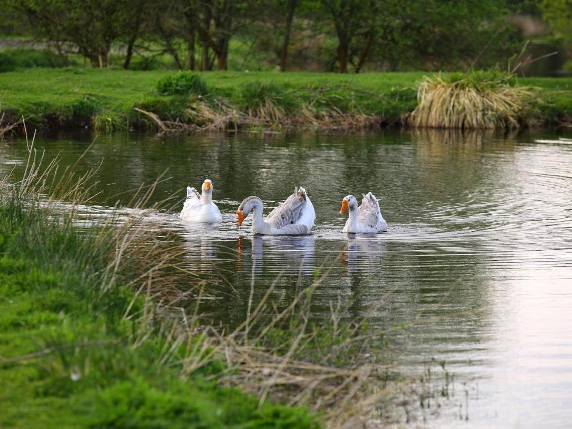 Gites De La Ferme De Vur Ven Gouvieux Exteriör bild